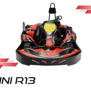 Mini R13 kart